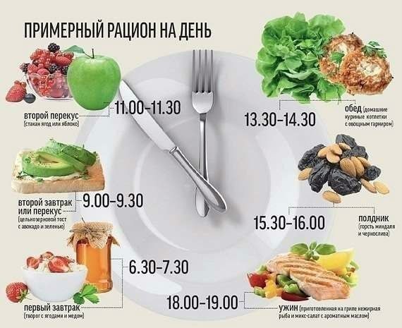 ПИЩЕВАЯ ЦЕННОСТЬ ПРОДУКТОВ