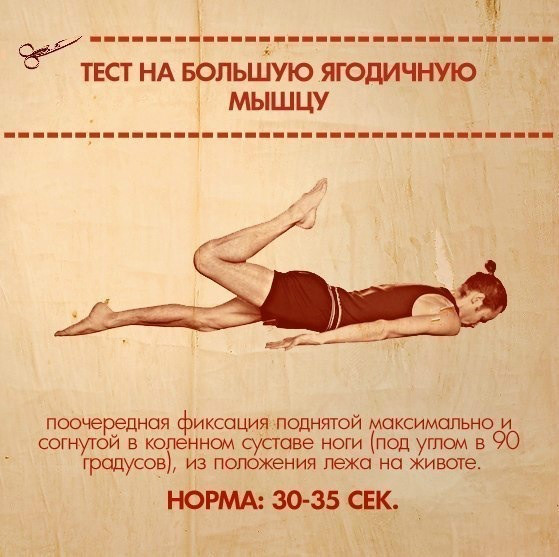 Методы измерения силы мышц — SportWiki энциклопедия