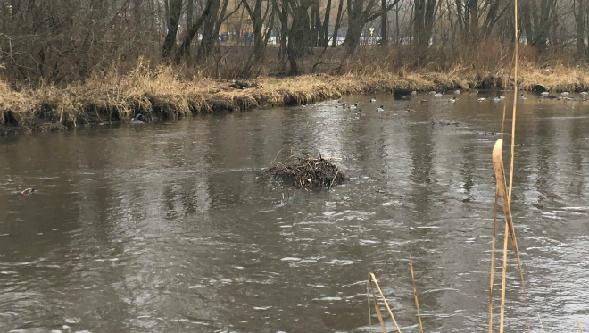 Строительство моста в болоте