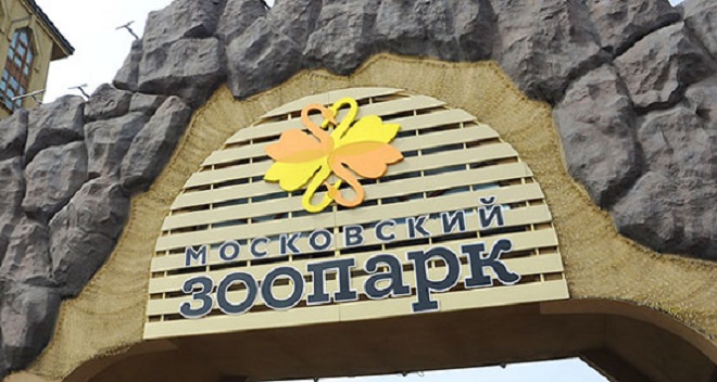 Зоопарк льготы. Московский зоопарк 1 июня. Московский зоопарк летом. Московский зоопарк режим работы. Переход зоопарка в Москве.