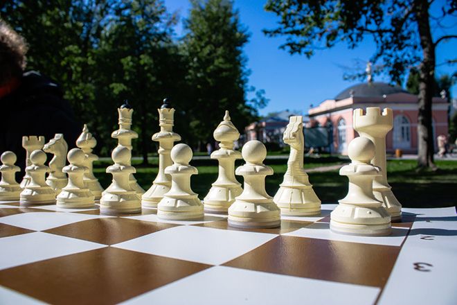 Вилка, еж и Матильда Петровна: необычные шахматные термины