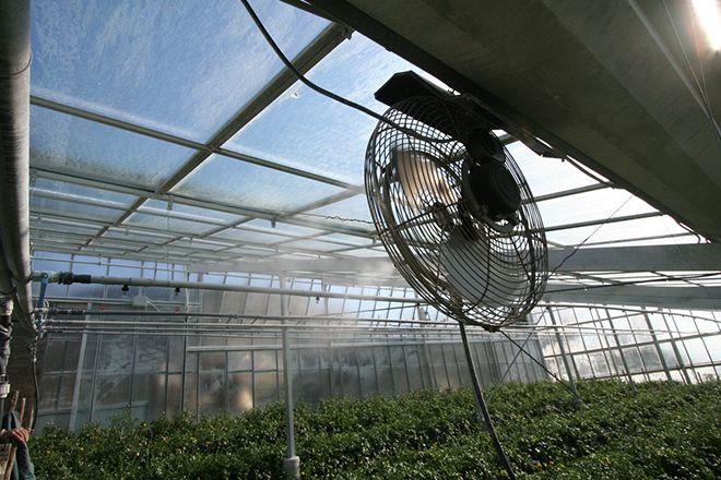 AUTOMATIC GREENHOUSE WINDOW OPENER